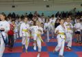 Mistrzostwa Ciechanowa w Taekwondo Olimpijskim